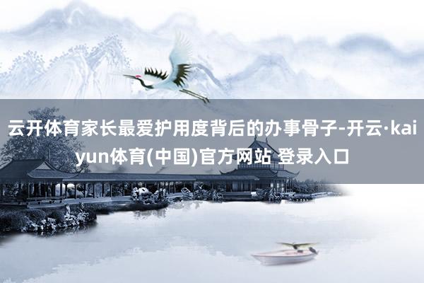 云开体育家长最爱护用度背后的办事骨子-开云·kaiyun体育(中国)官方网站 登录入口