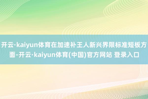 开云·kaiyun体育在加速补王人新兴界限标准短板方面-开云·kaiyun体育(中国)官方网站 登录入口